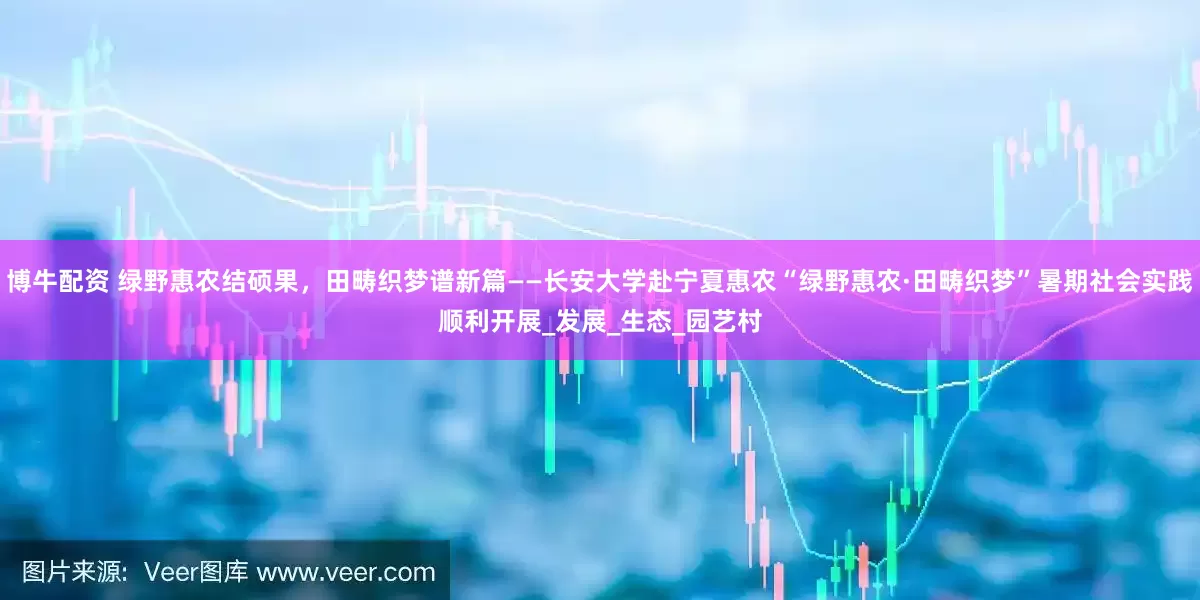博牛配资 绿野惠农结硕果，田畴织梦谱新篇——长安大学赴宁夏惠农“绿野惠农·田畴织梦”暑期社会实践顺利开展_发展_生态_园艺村