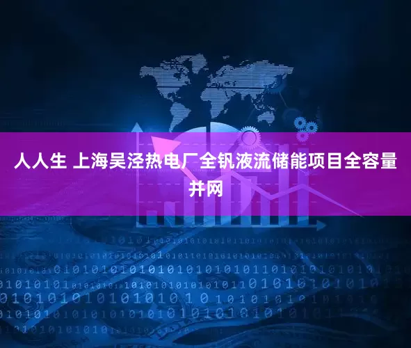 人人生 上海吴泾热电厂全钒液流储能项目全容量并网